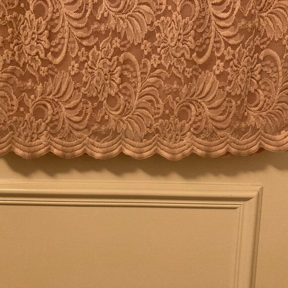 Bebe blush lace long sleeve dress XL - Picture 9 of 16